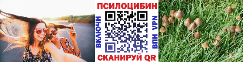 Галлюциногенные грибы ЛСД  Дзержинский 